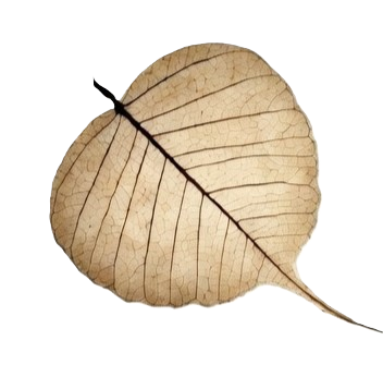Bodhi leaf — symbol of enlightenment